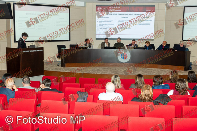 FSP_0055