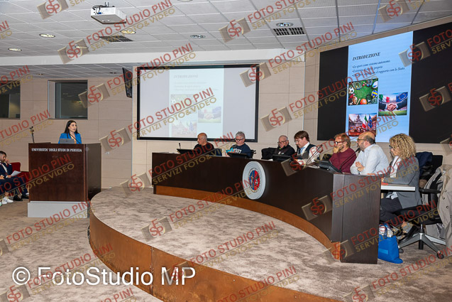 FMP_2261