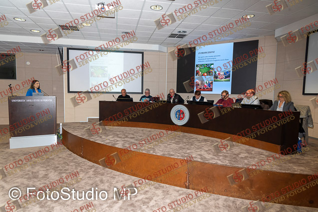 FMP_2262