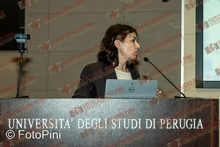 FSP_0219