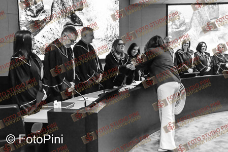 FSP_1206