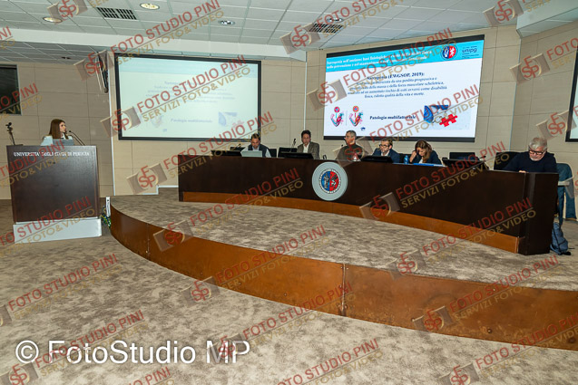 FSP_0421