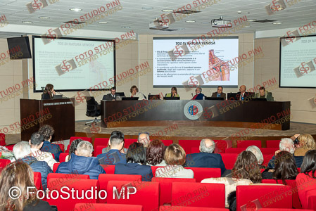 FSP_0919