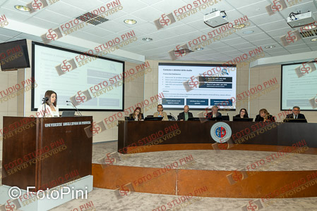 FSP_0010
