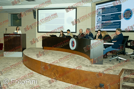 FSP_0271