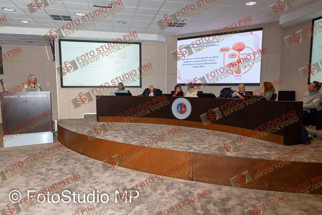 FMP_3469