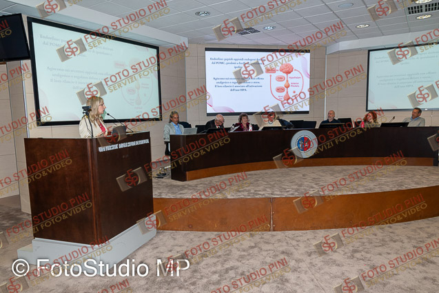 FMP_3471