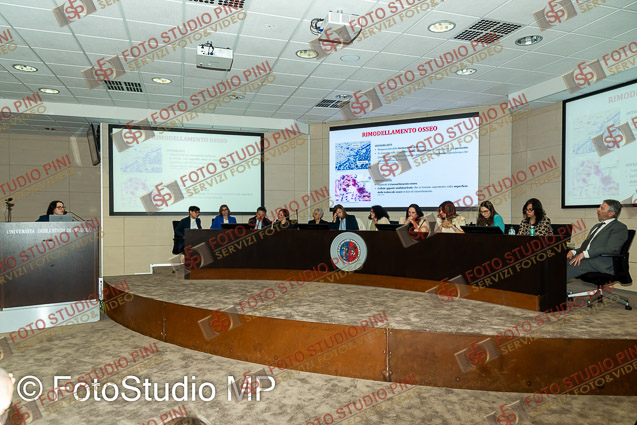 FMP_0048