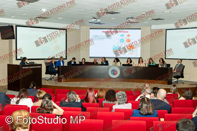 FMP_0049
