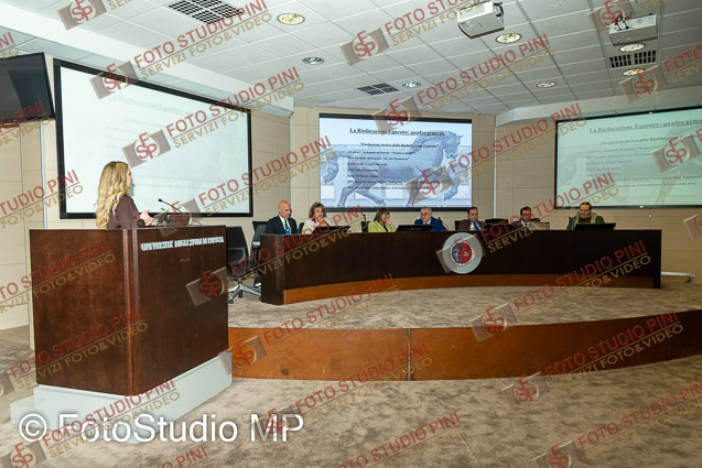 FSP_1031