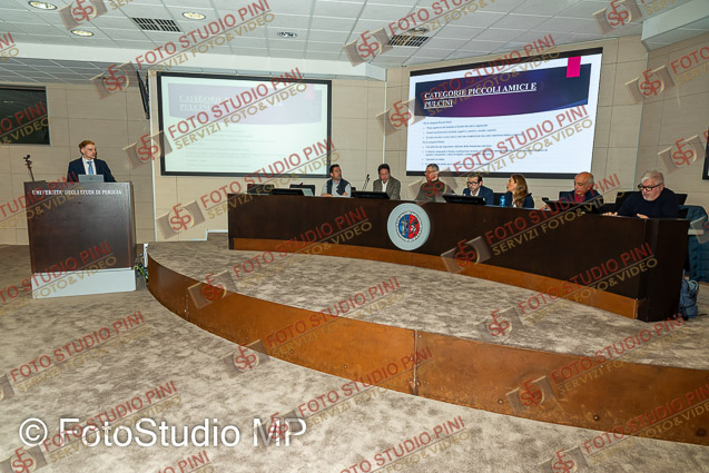 FSP_0118